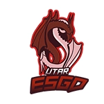 Team Logo